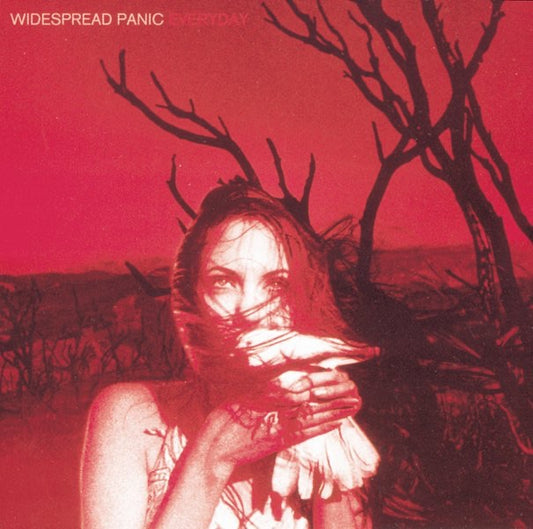 Widespread Panic - Everyday Album Cover