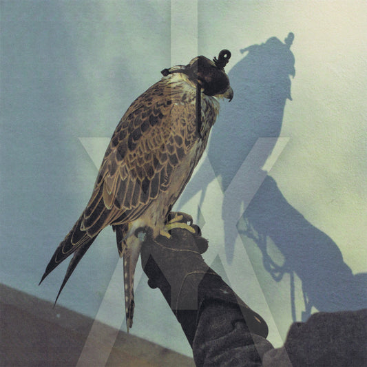 Iceage - You're Nothing (+ 3) Album Cover