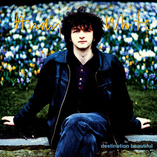 Andy White - Destination Beautiful Album Cover