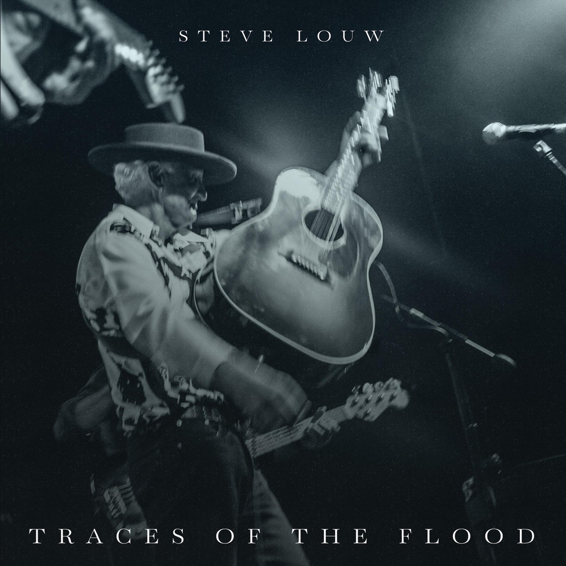 Steve Louw - Traces Of The Flood Album Cover