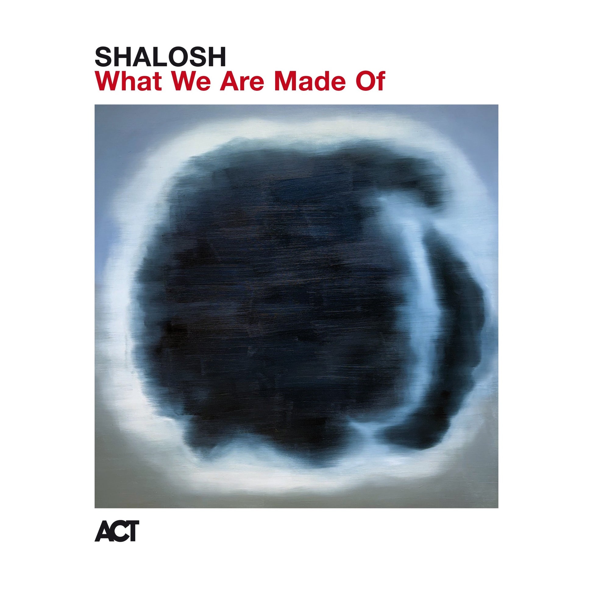 Shalosh - What We Are Made Of Album Cover