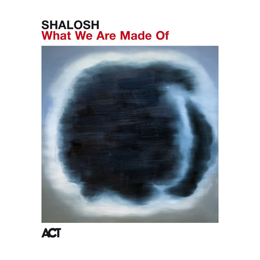 Shalosh - What We Are Made Of Album Cover