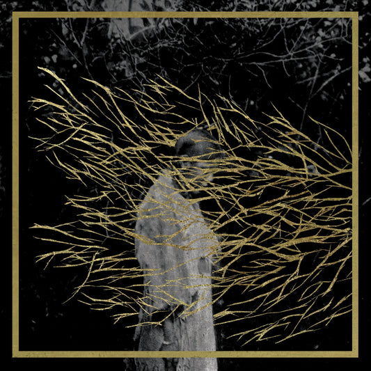 Forest Swords - Engravings Album Cover