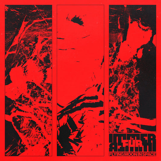 Flying Moon in Space - immer für immer Album Cover