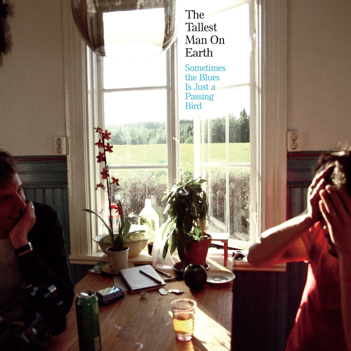 The Tallest Man On Earth - Sometimes the Blues Is Just a Passing Bird - EP Album Cover