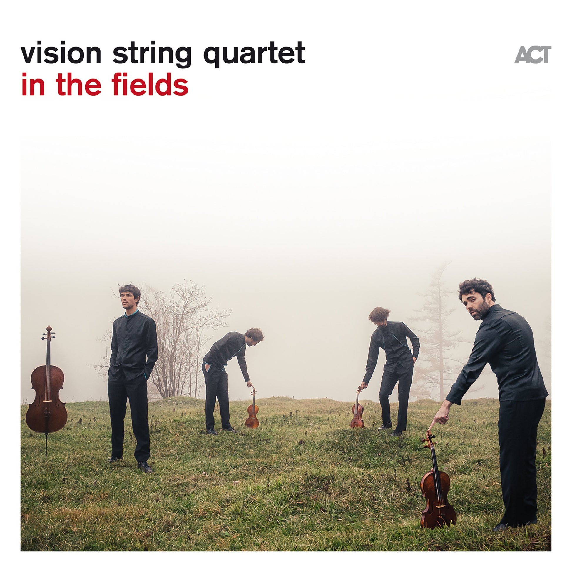vision string quartet - in the fields Album Cover