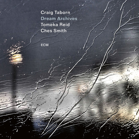 Craig Taborn, Tomeka Reid & Ches Smith - Dream Archives Album Cover