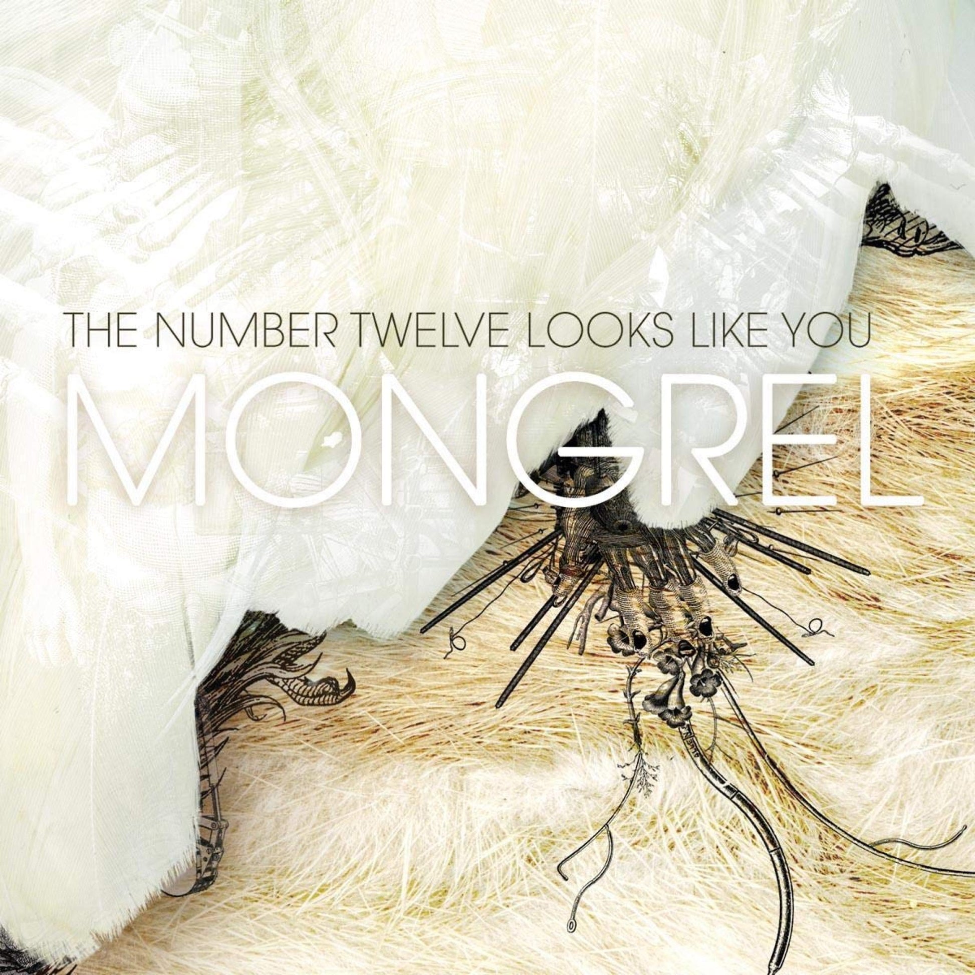 The Number Twelve Looks Like You - Mongrel Album Cover