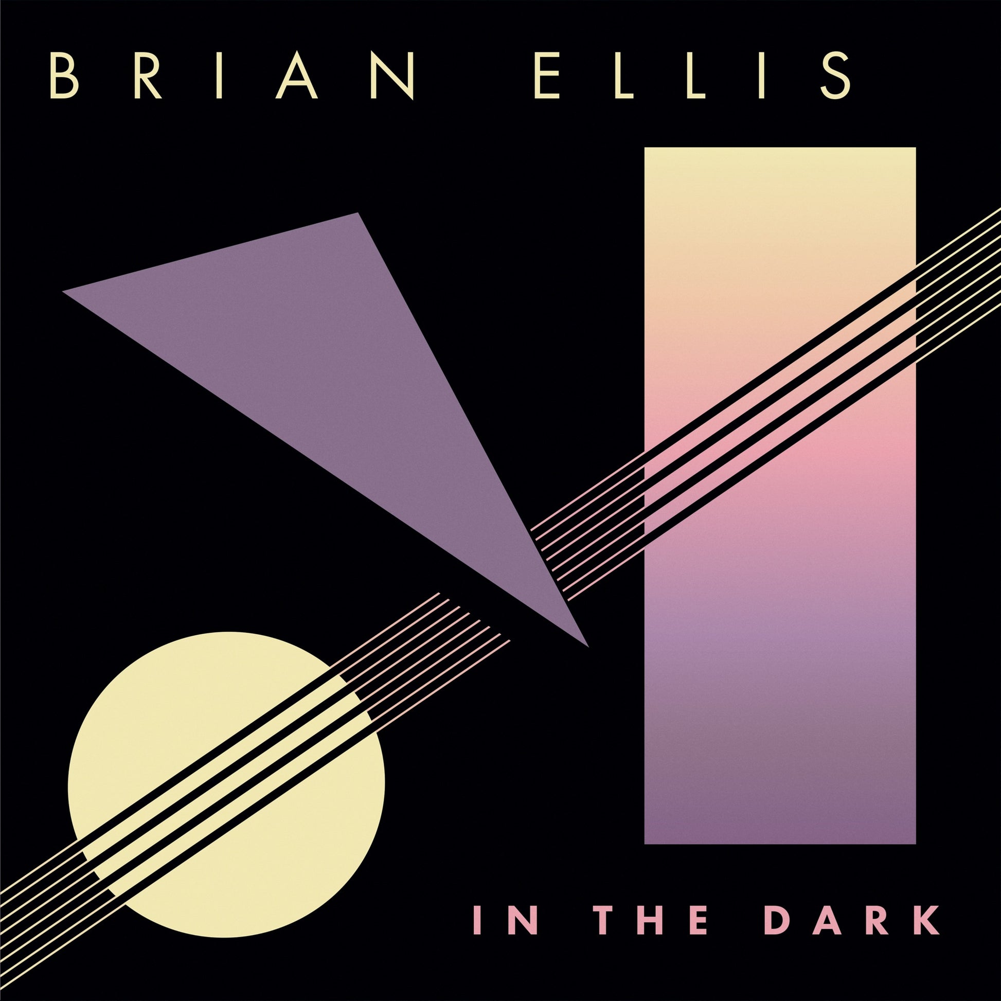 Brian Ellis - In the Dark Album Cover