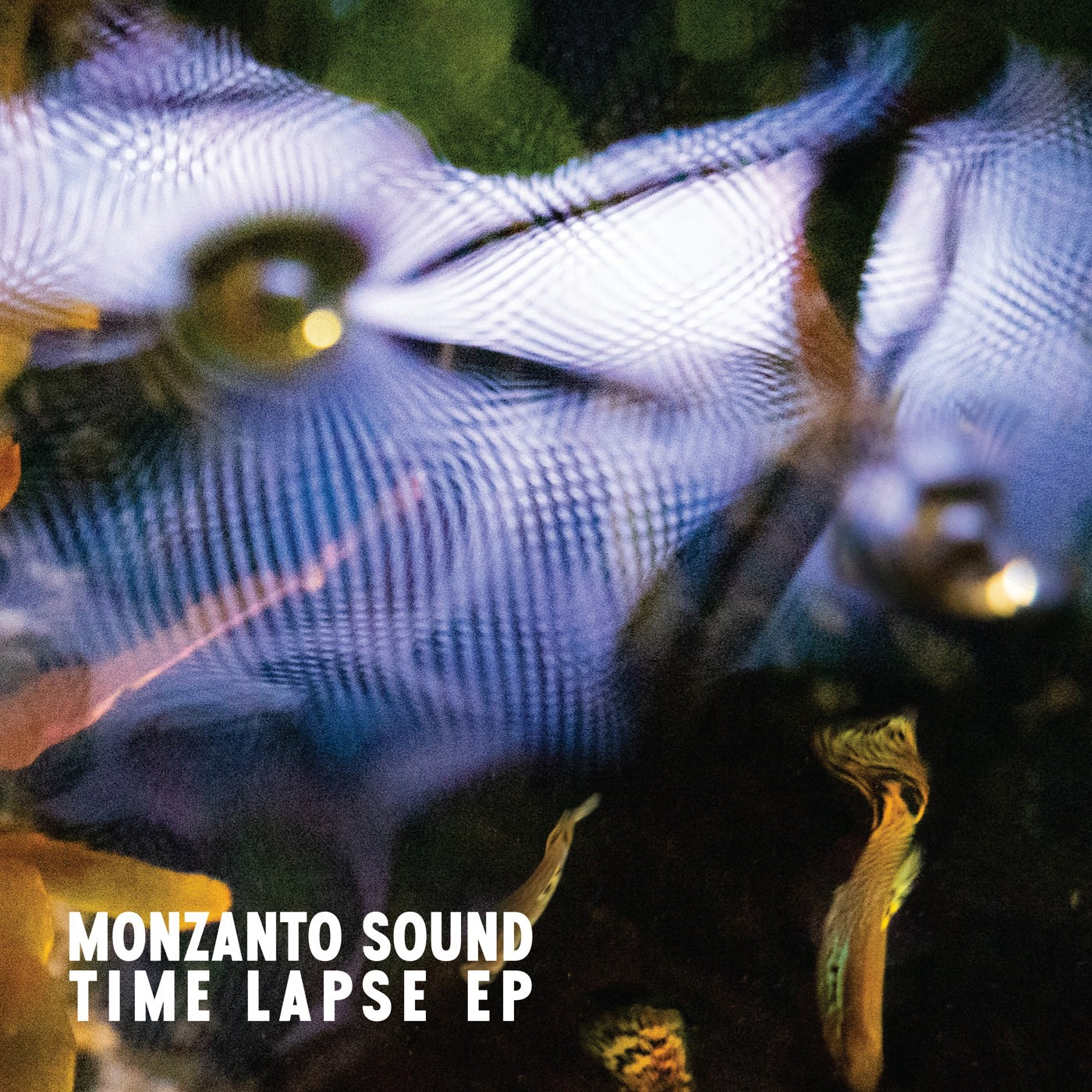 Monzanto Sound - Time Lapse - EP Album Cover