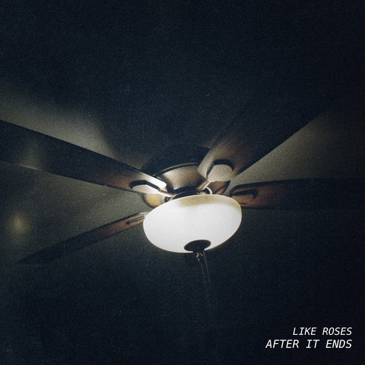 Like Roses - After It Ends Album Cover