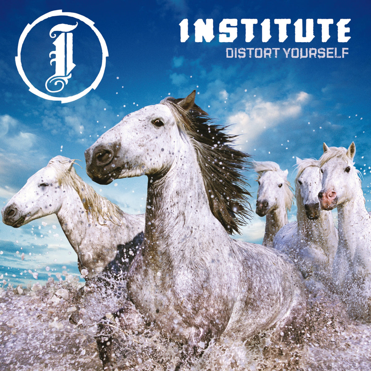 Institute - Distort Yourself Album Cover