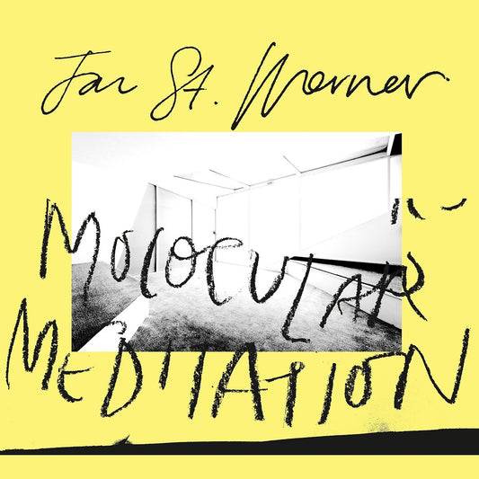 Jan St. Werner & Mark E Smith - Molocular Meditation Album Cover