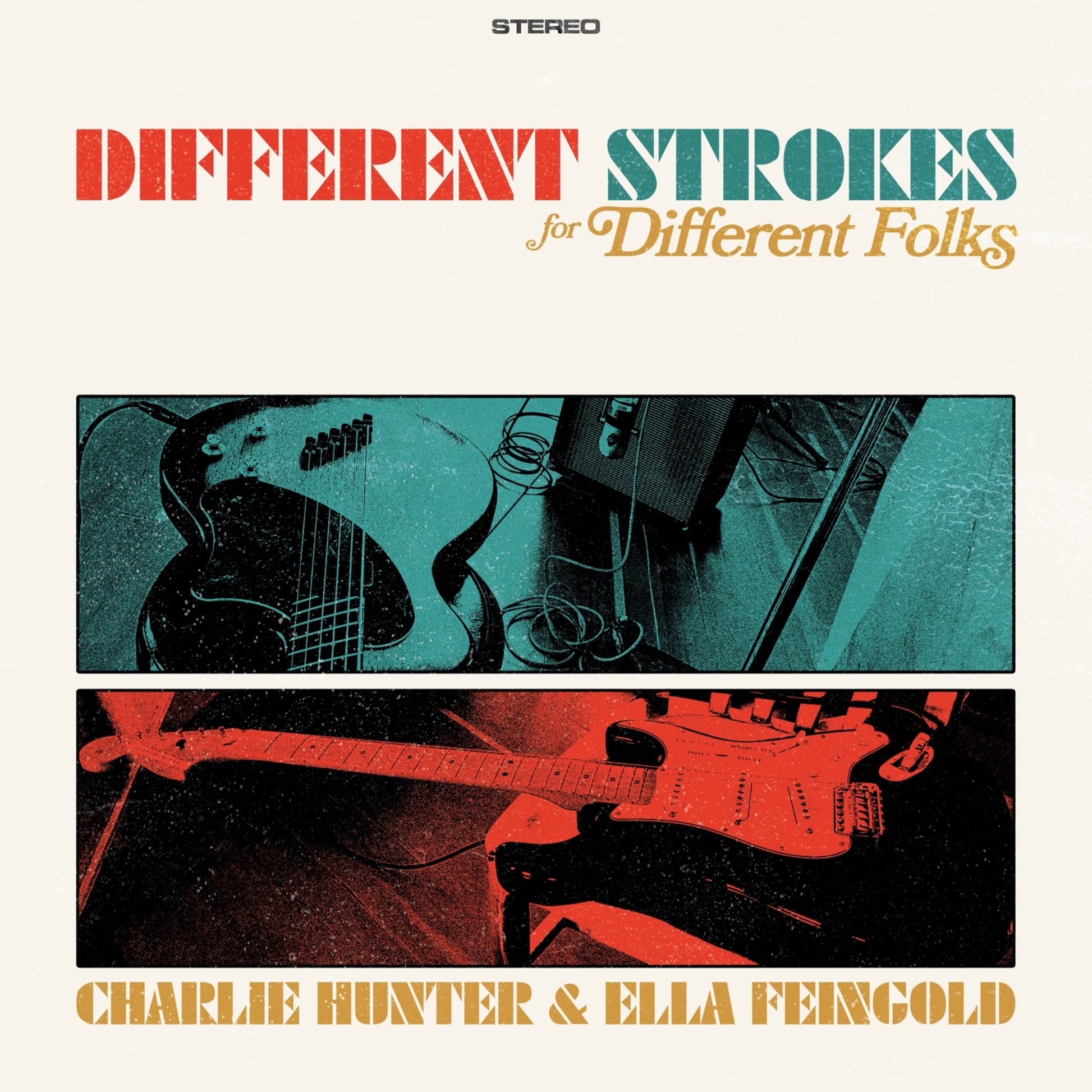 Charlie Hunter & Ella Feingold - Different Strokes for Different Folks Album Cover