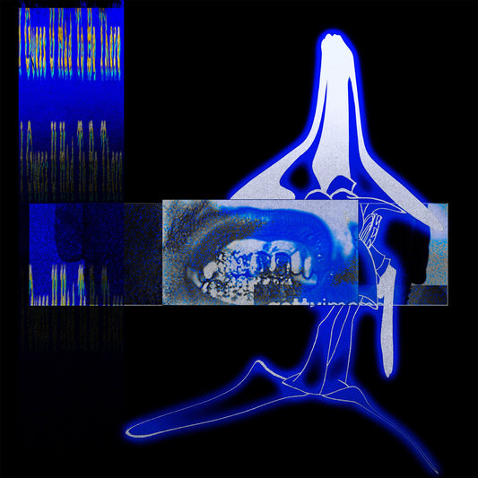 E L U C I D & Sebb Bash - I Guess U Had To Be There Album Cover