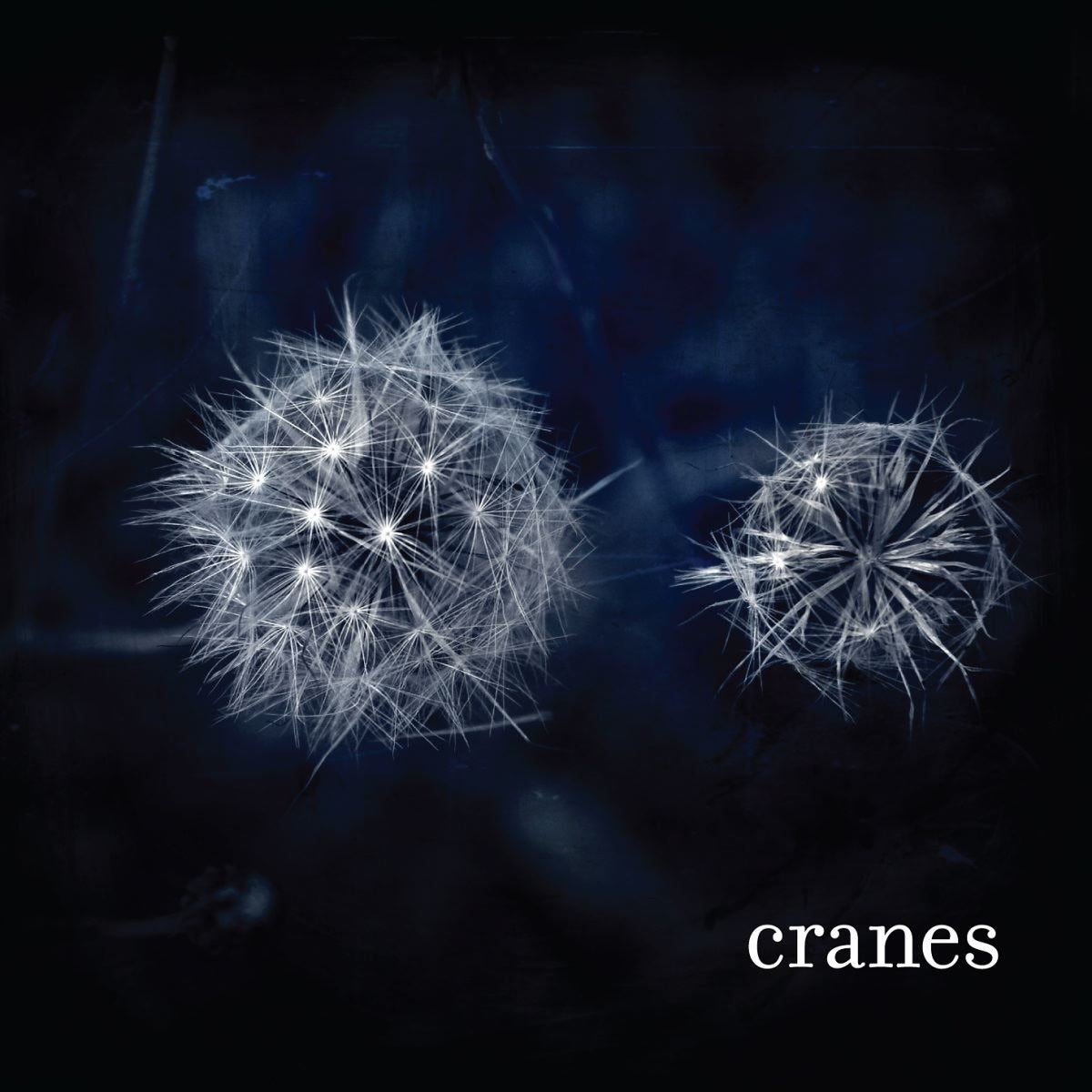 Cranes - Cranes Album Cover
