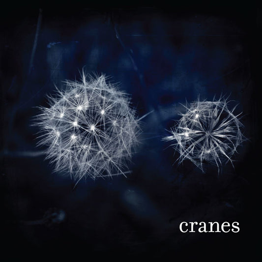 Cranes - Cranes Album Cover