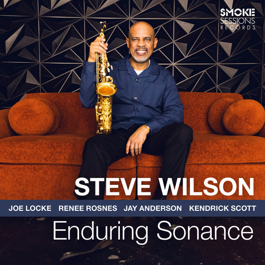 Steve Wilson - Enduring Sonance Album Cover