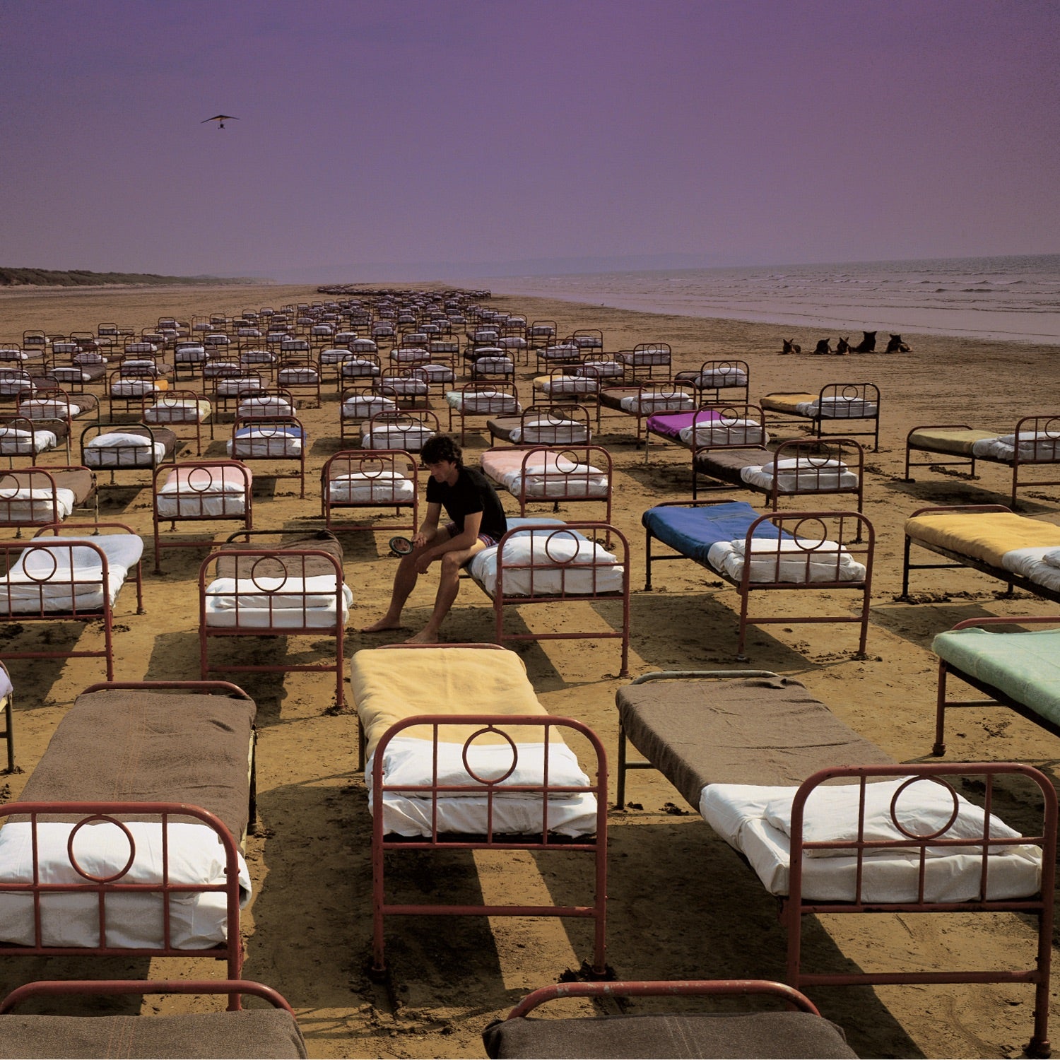 Pink Floyd - A Momentary Lapse of Reason Album Cover
