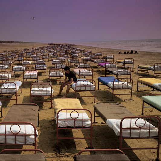 Pink Floyd - A Momentary Lapse of Reason Album Cover