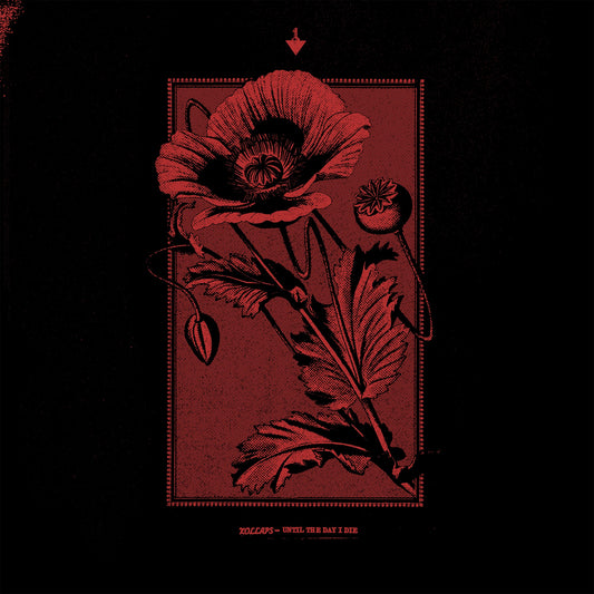Kollaps - Until the Day I Die Album Cover
