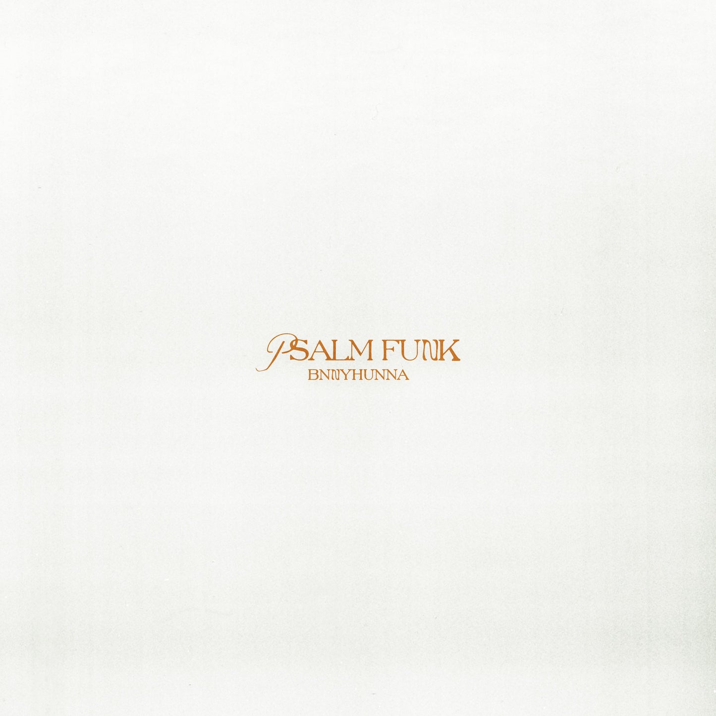 Bnnyhunna - PSALM FUNK Album Cover