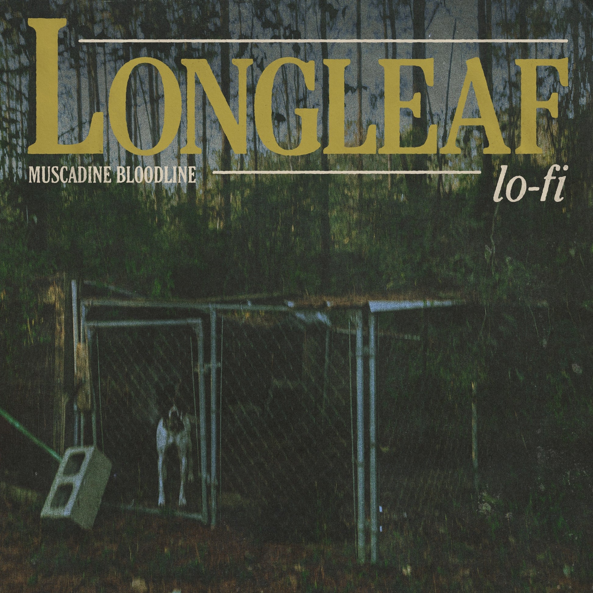 Muscadine Bloodline - Longleaf Lo-Fi Album Cover