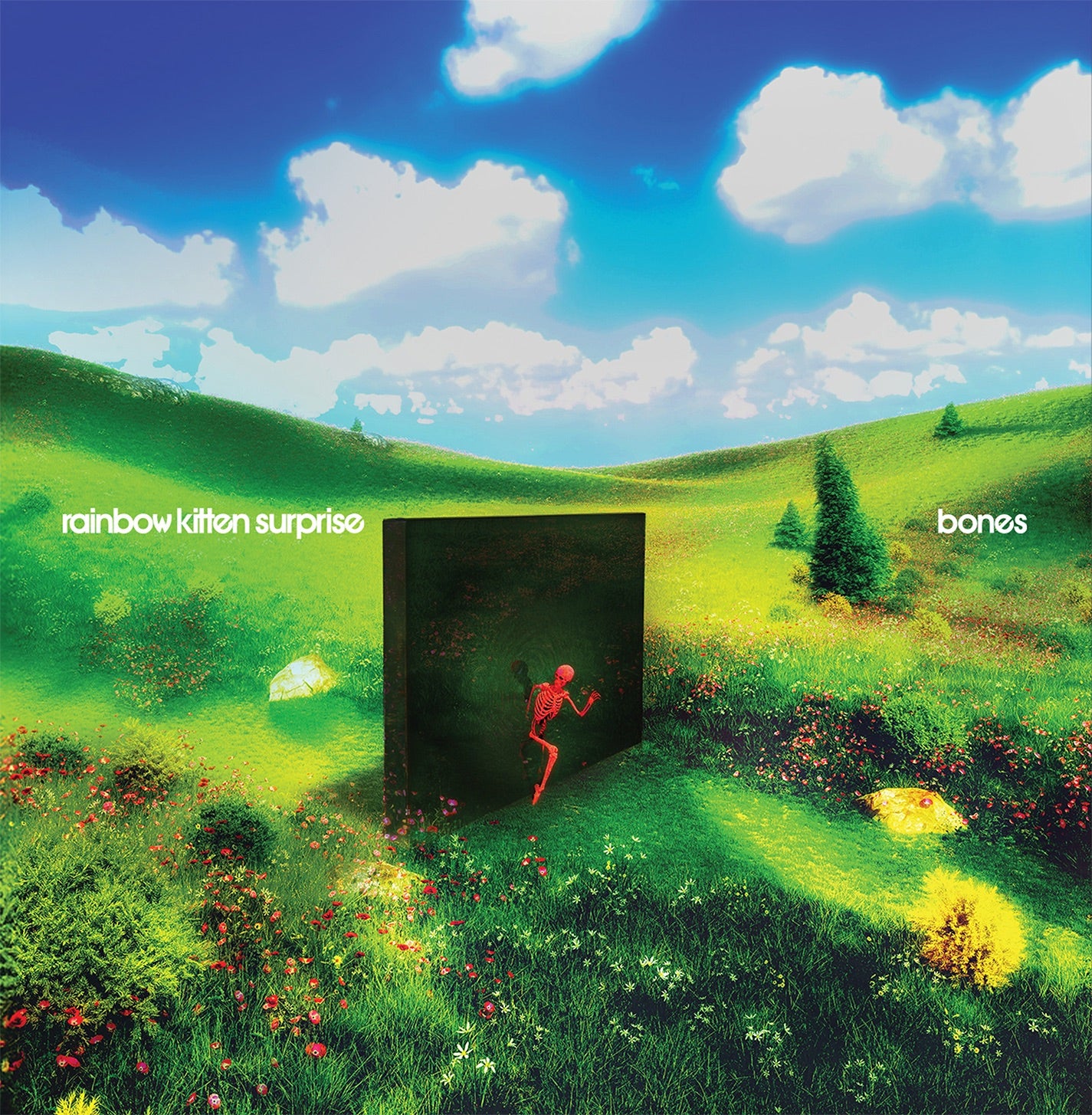 Rainbow Kitten Surprise - bones Album Cover
