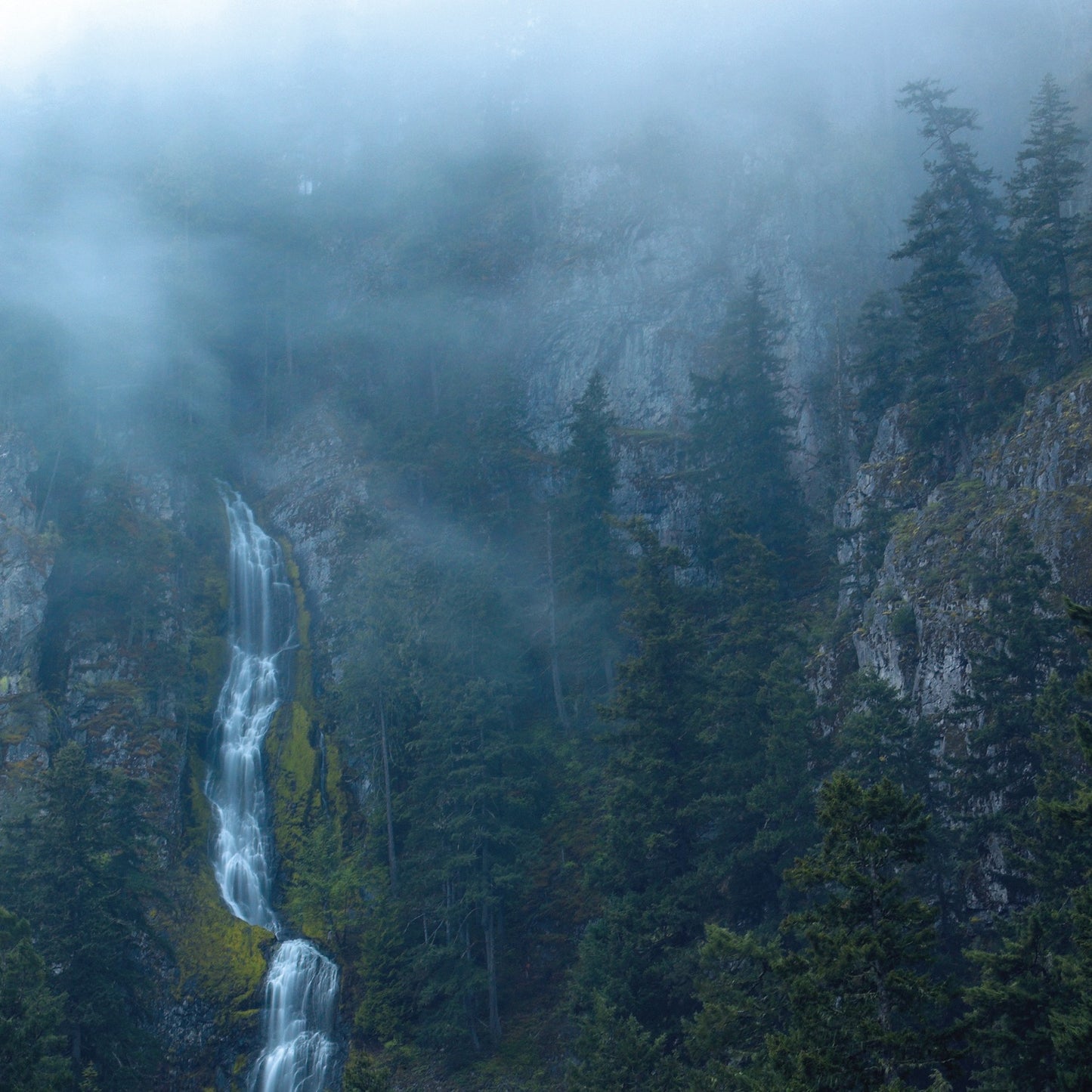 Wolves in the Throne Room - Diadem of 12 Stars Album Cover