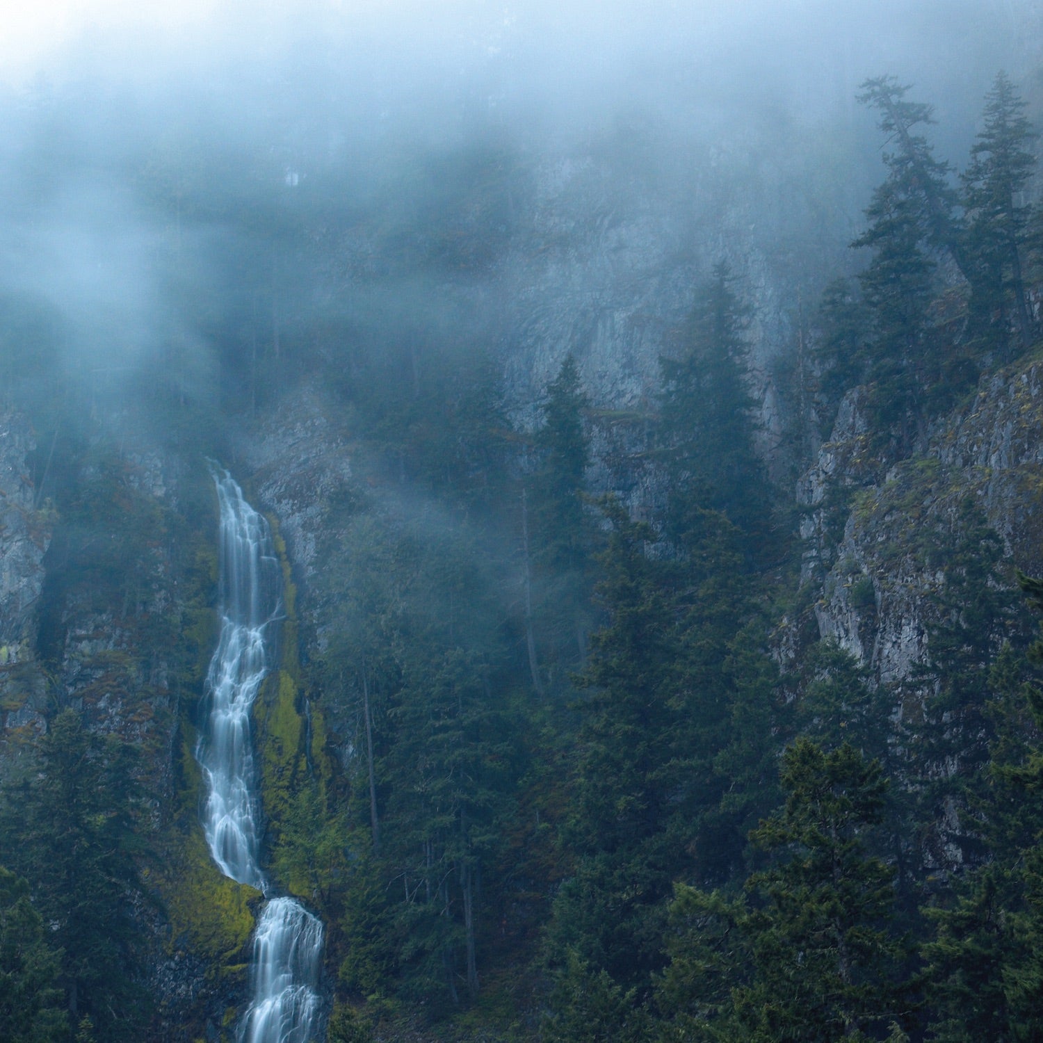 Wolves in the Throne Room - Diadem of 12 Stars Album Cover
