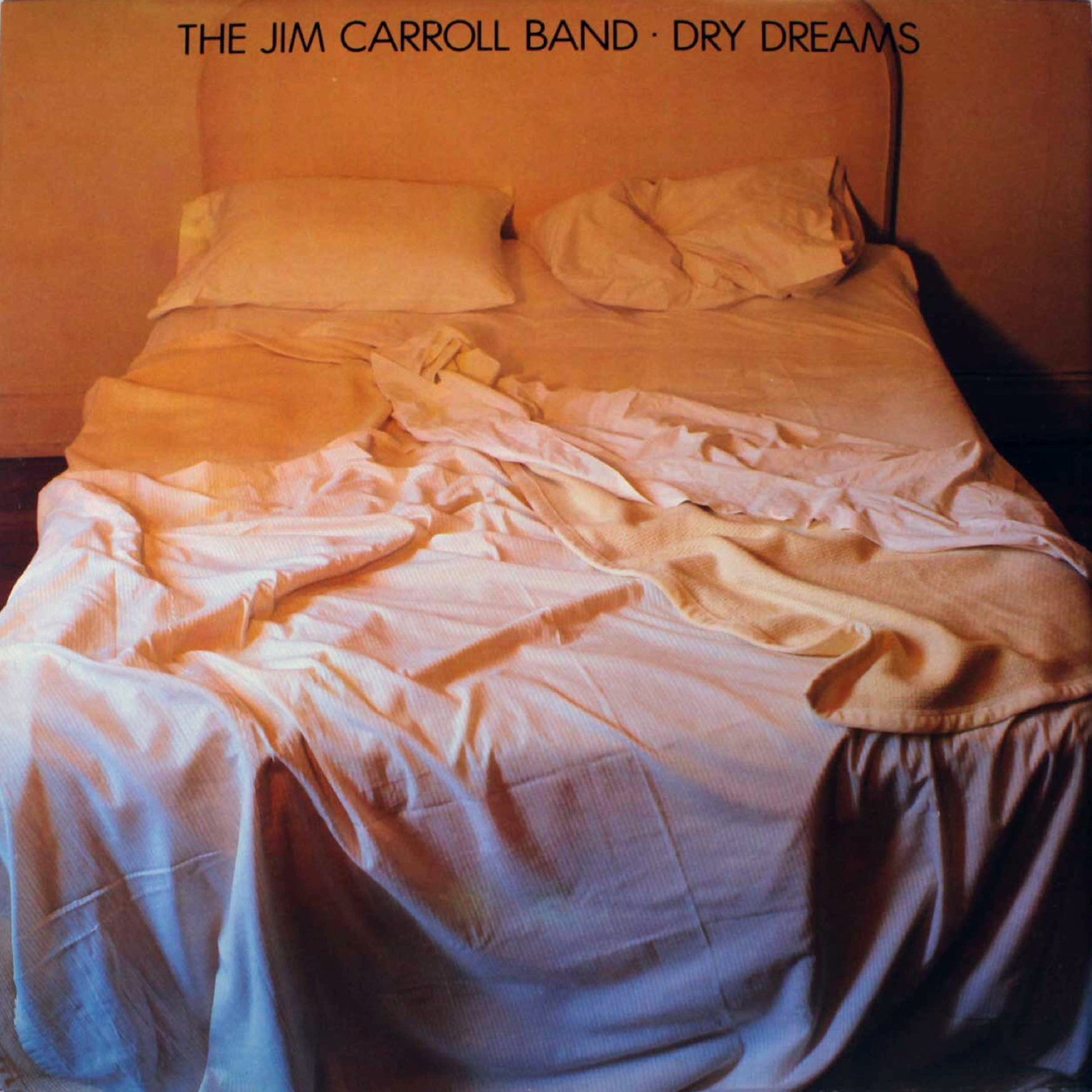 The Jim Carroll Band - Dry Dreams Album Cover