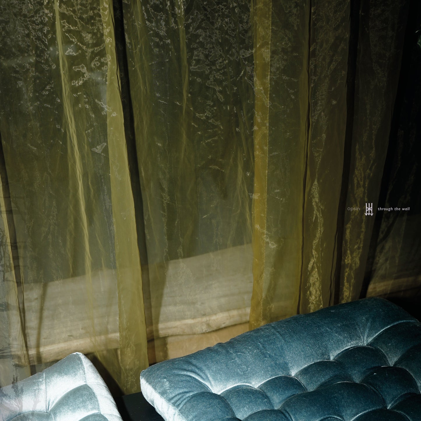 Opsin - Through The Wall Album Cover