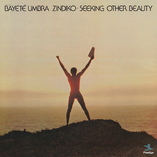 Seeking Other Beauty
