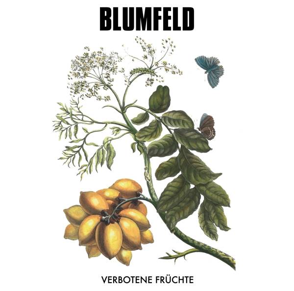 Blumfeld - Verbotene Früchte Product Image