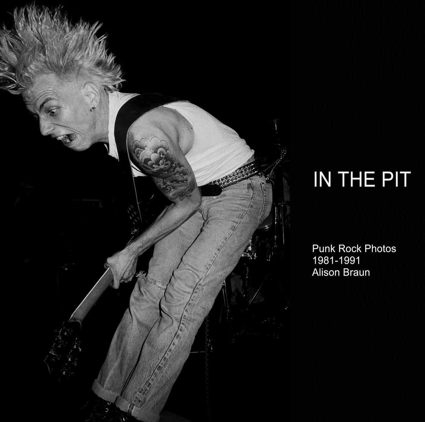 Alison Braun - In The Pit Product Image