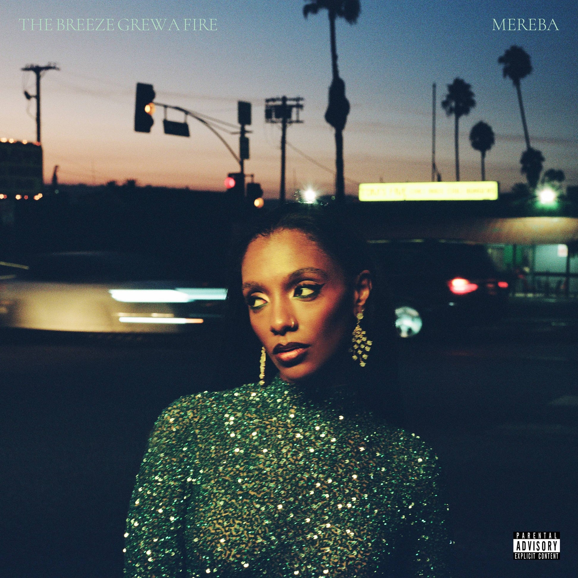 Mereba - The Breeze Grew a Fire Product Image