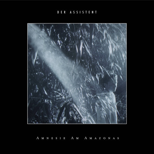 Der Assistent - Amnesie am Amazonas Product Image