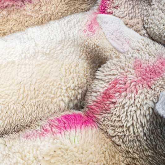 Blawan - Bouq Product Image