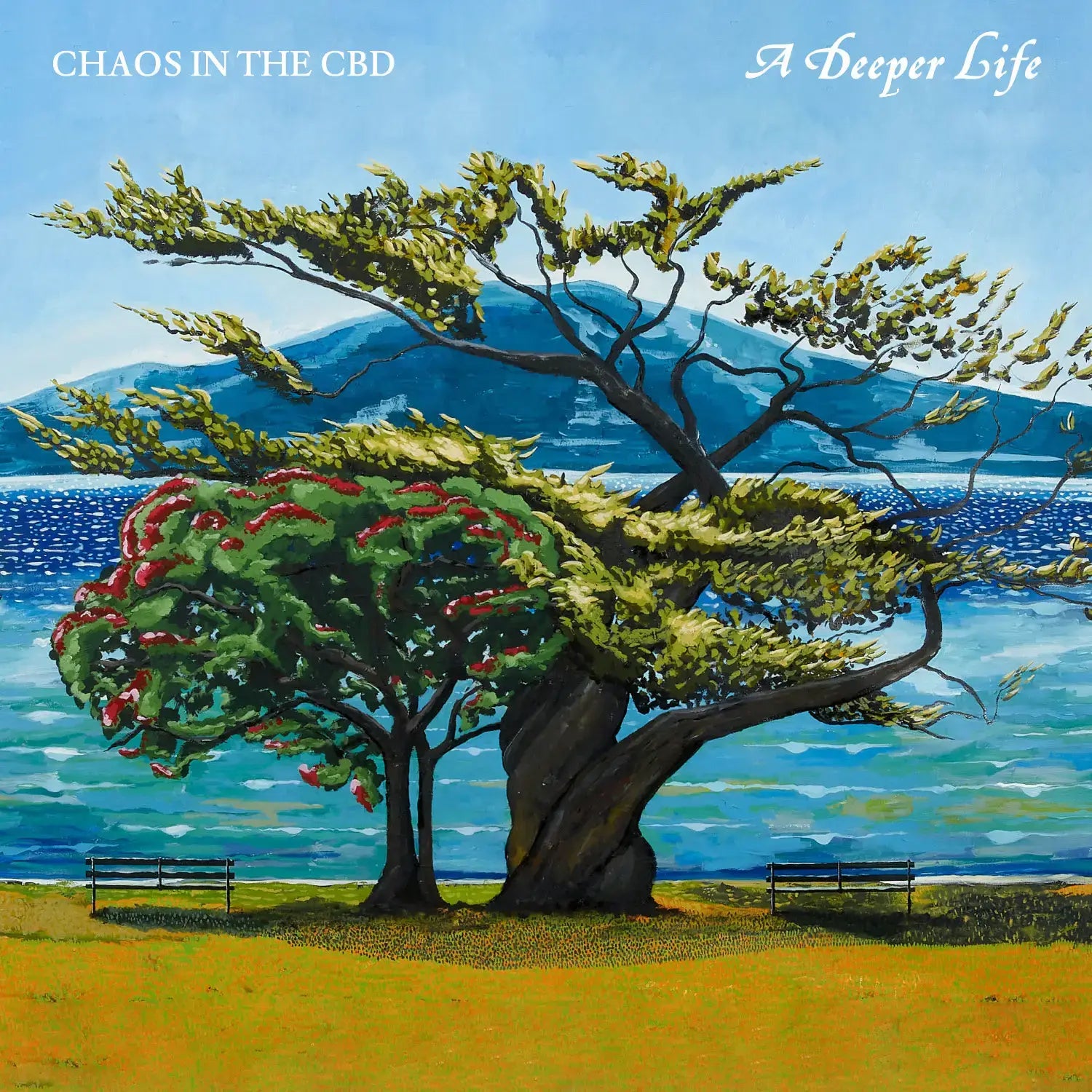 Chaos In The CBD - A Deeper Life Product Image