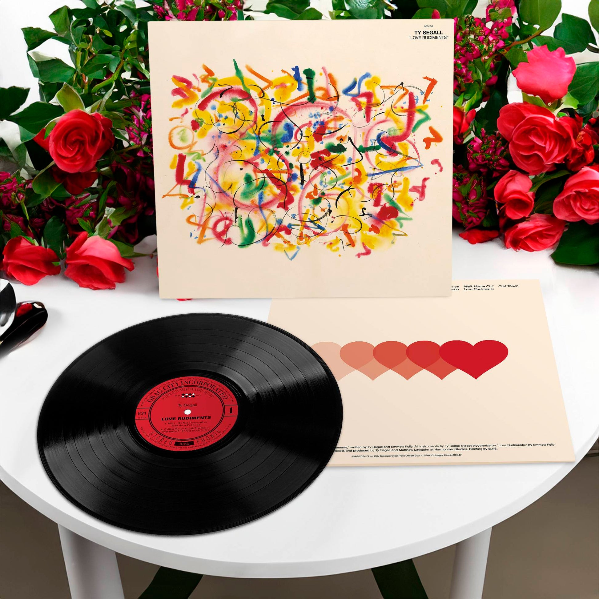 263671_Ty Segall_Mockup 2.jpg