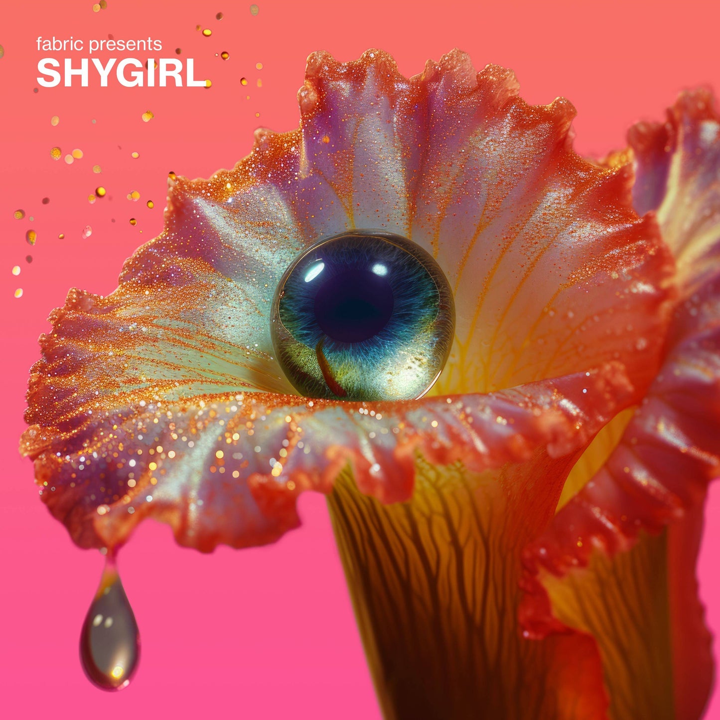 Shygirl - Fabric Presents