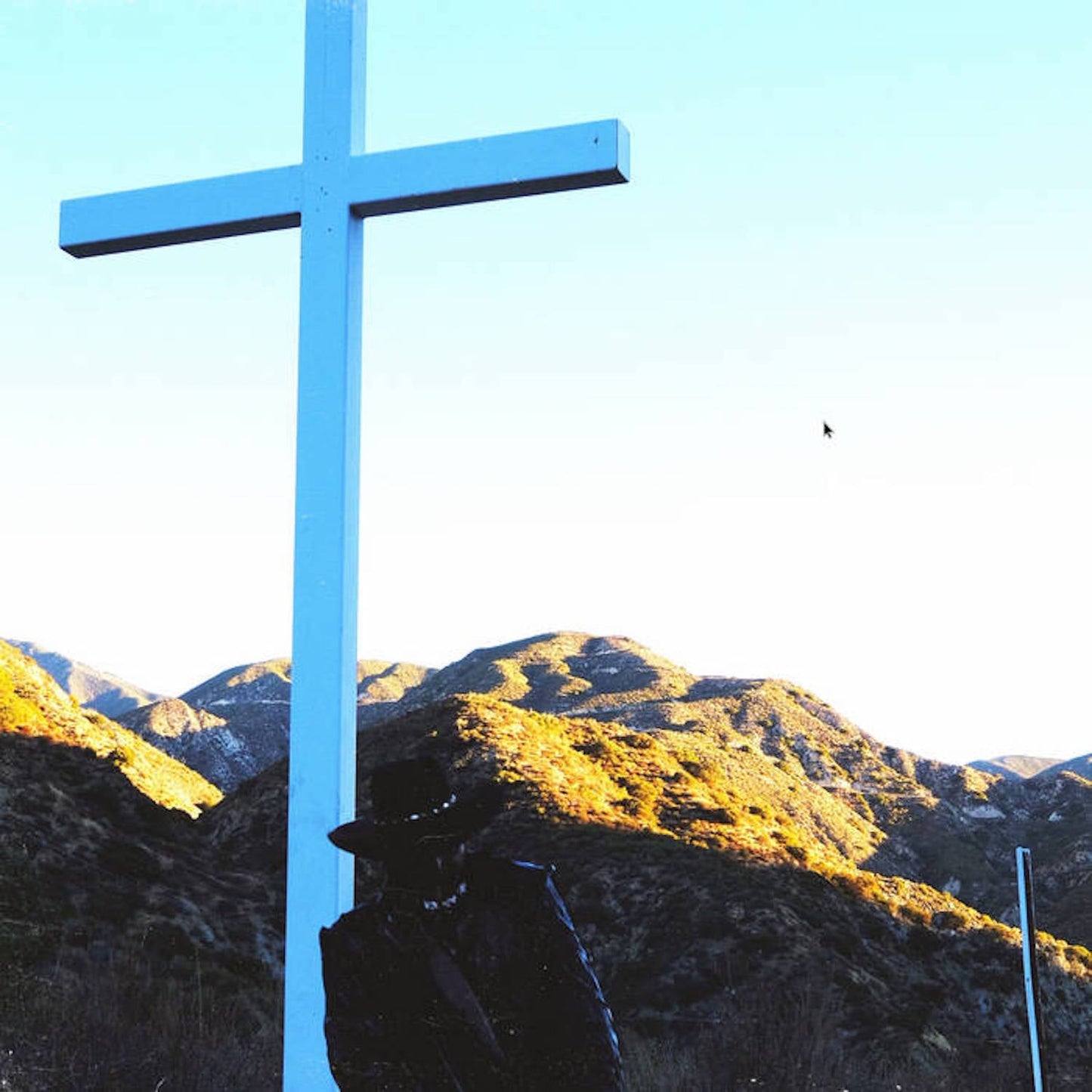 I LAY DOWN MY LIFE FOR YOU