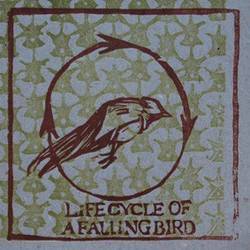 Life Cycle Of A Falling Bird