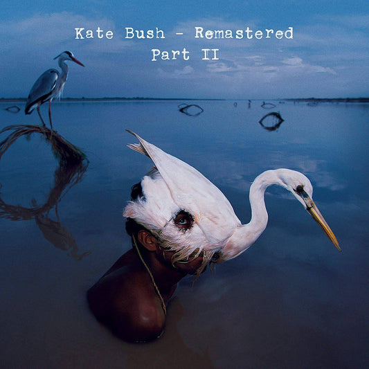 Remastered Part 2 (Aerial, Director's Cut, 50 Words for Snow, Before the Dawn (Original Mastering), 12" Mixes, The Other Side 1, The Other Side 2 and In Others' Words)