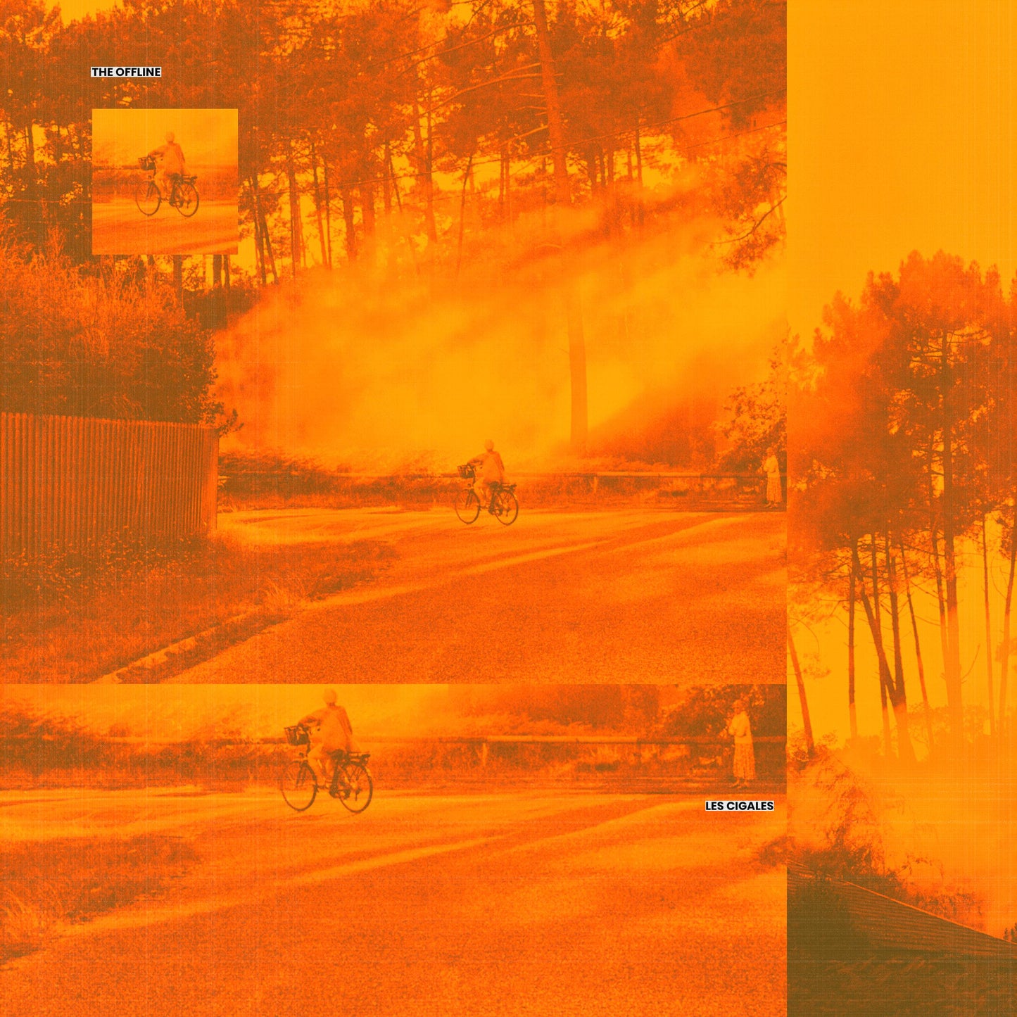 Les Cigales / En clair-obscur