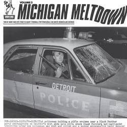 Michigan Meltdown