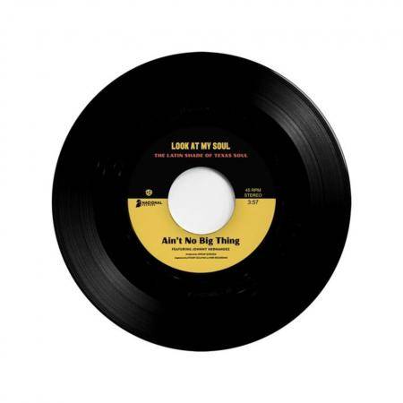 Ain't No Big Thing / Look At My Soul