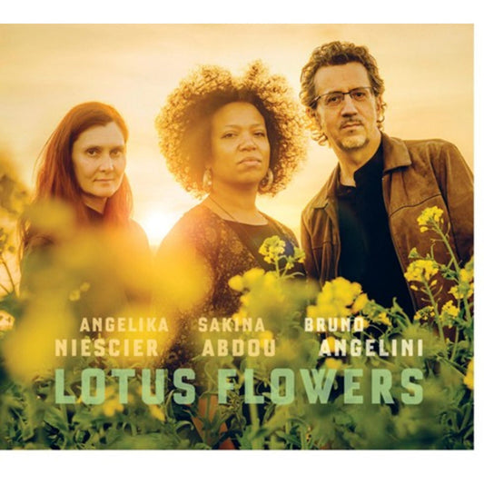 Bruno Angelini - Lotus Flower Product Image