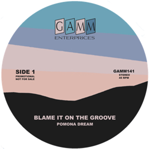 Blame It On The Groove