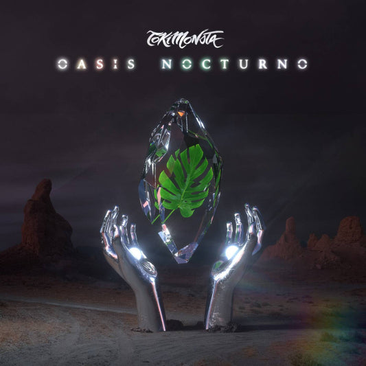 Oasis Noturno
